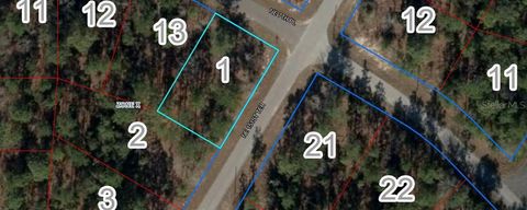 Photo of Lot 1 NE 7th Pl, Williston, FL 32696 (MLS # S5136907)