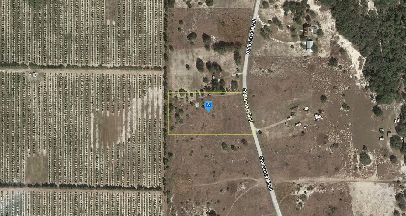 BLUE JORDAN FOREST - Land