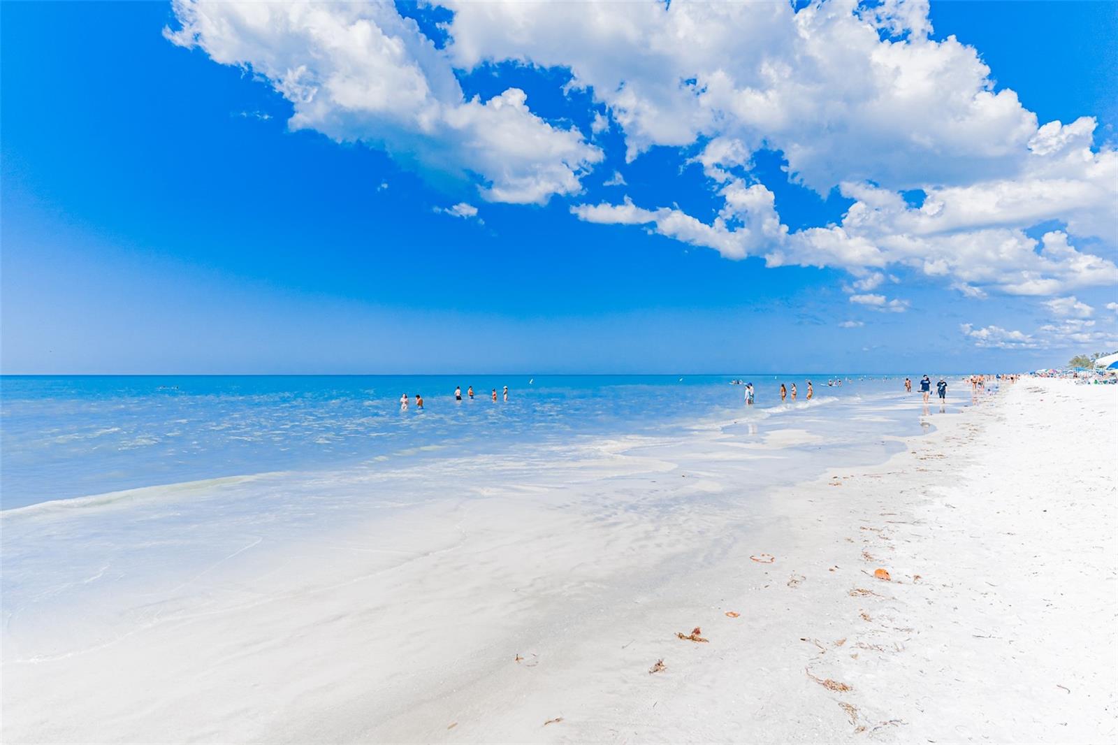 HAMILTON HOUSE ON THE GULF CONDO - Residential