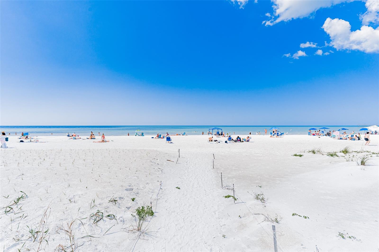 HAMILTON HOUSE ON THE GULF CONDO - Residential