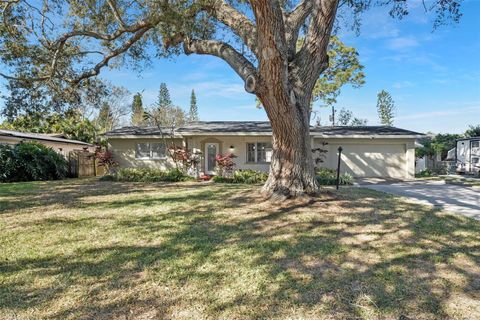 1110 IRENE AVENUE LARGO FL 33771