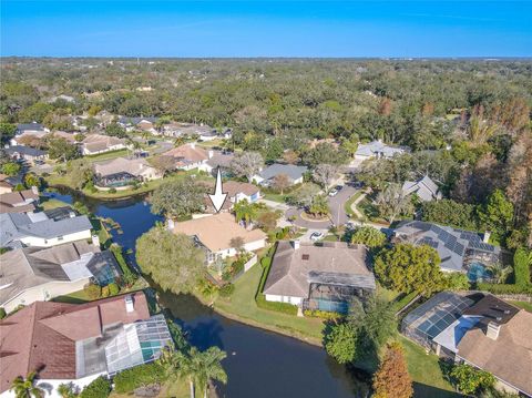 A home in SAFETY HARBOR