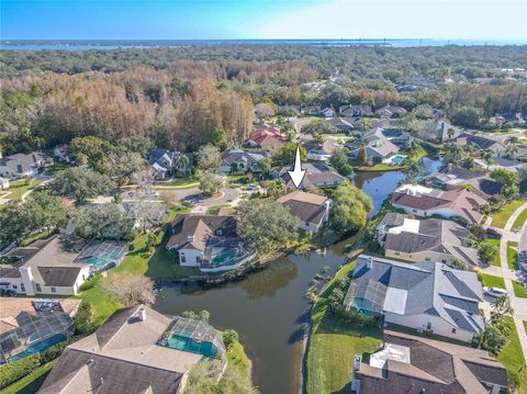 A home in SAFETY HARBOR