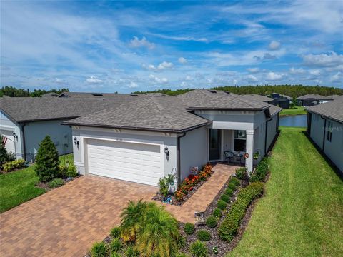 Photo of 6110 Shorebird Branch, Land O Lakes, FL 34638 (MLS # S5133670)