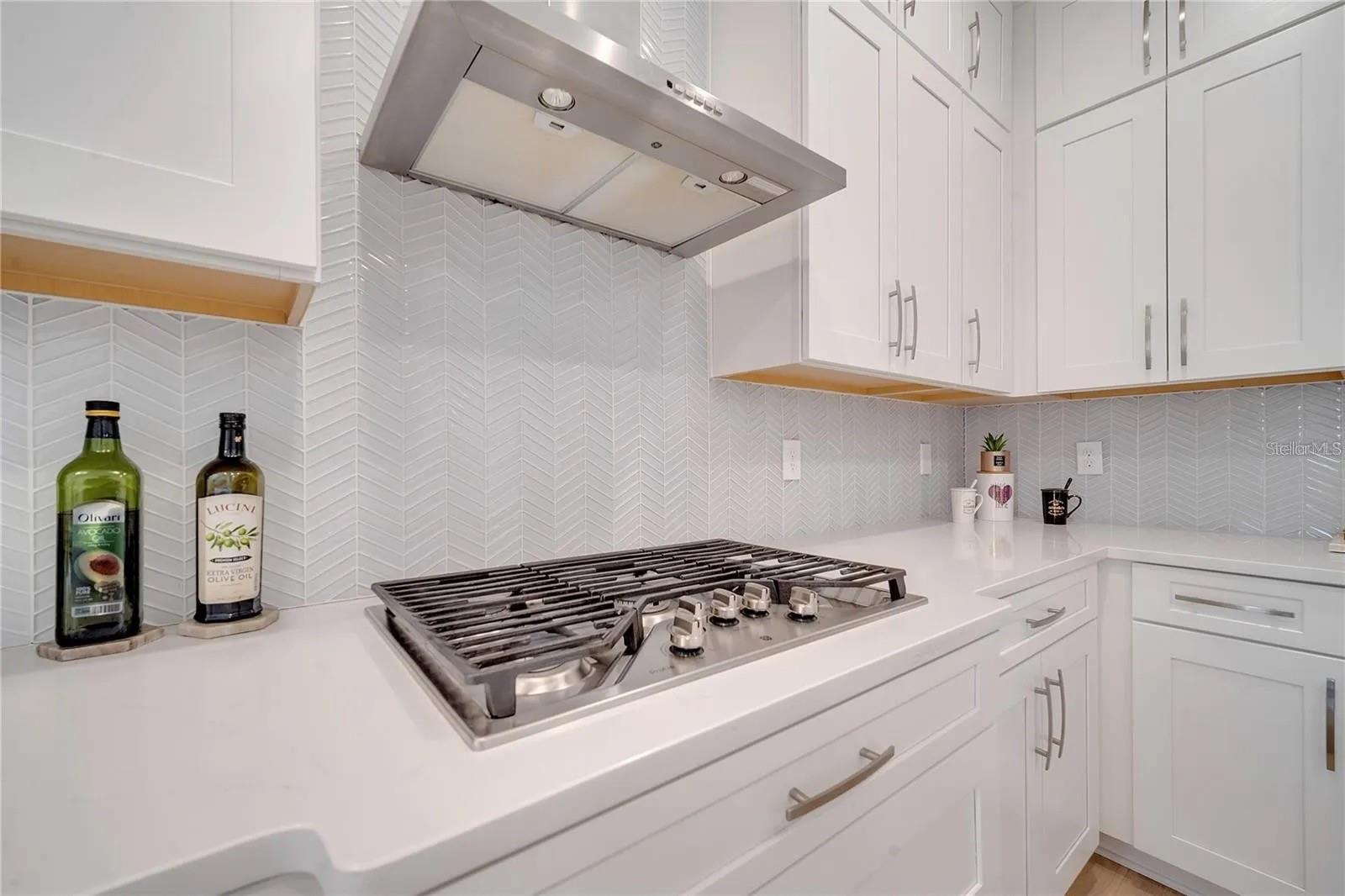 ENCORE AT OVATION - Residential