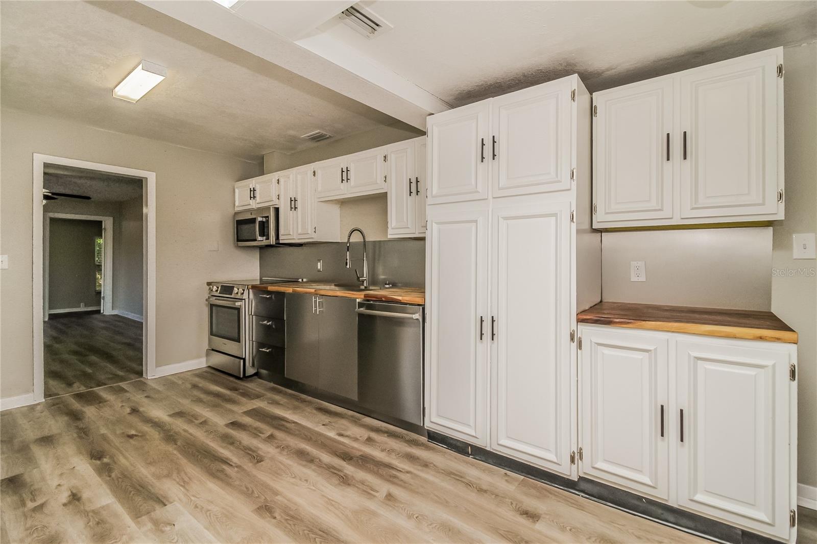 MOUNT DORA - Residential Lease