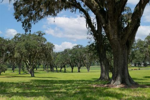 Tiny photo for 5540 SE 157th Street Road #(Option 1), Summerfield, FL 34491 (MLS # OM710941)