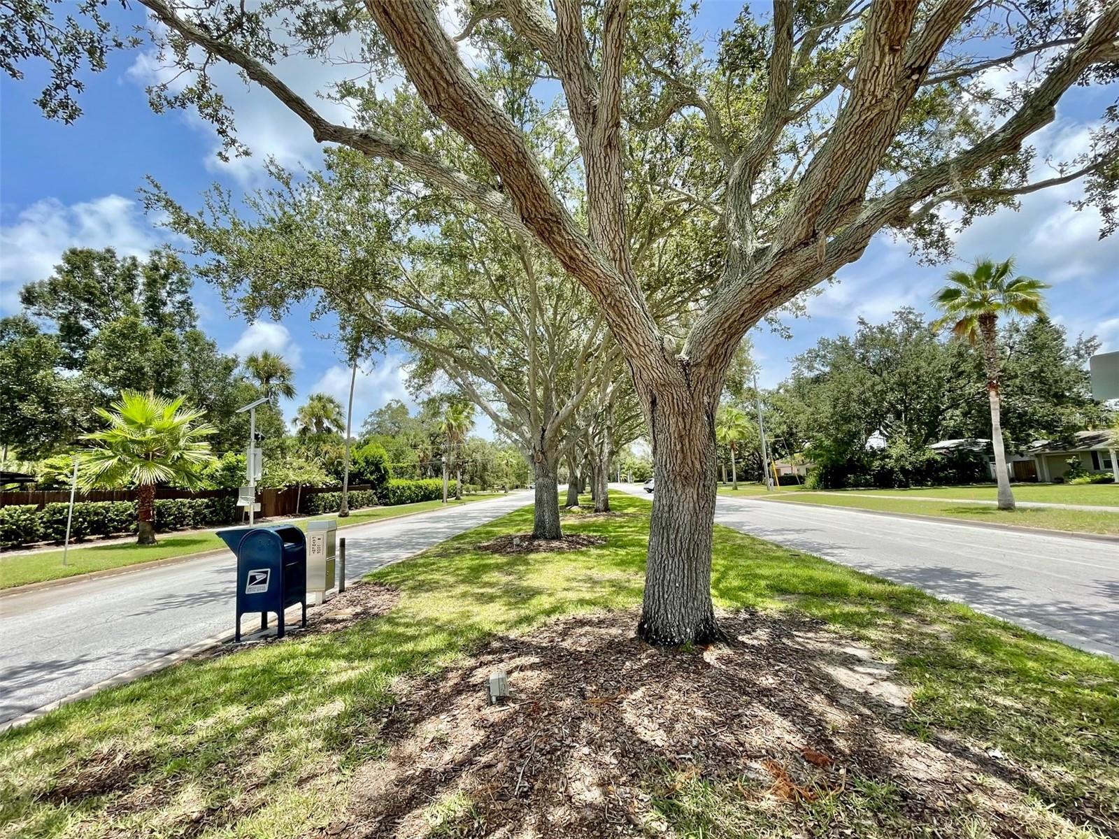 BELLEVIEW BILTMORE VILLAS BAYSHORE - Residential