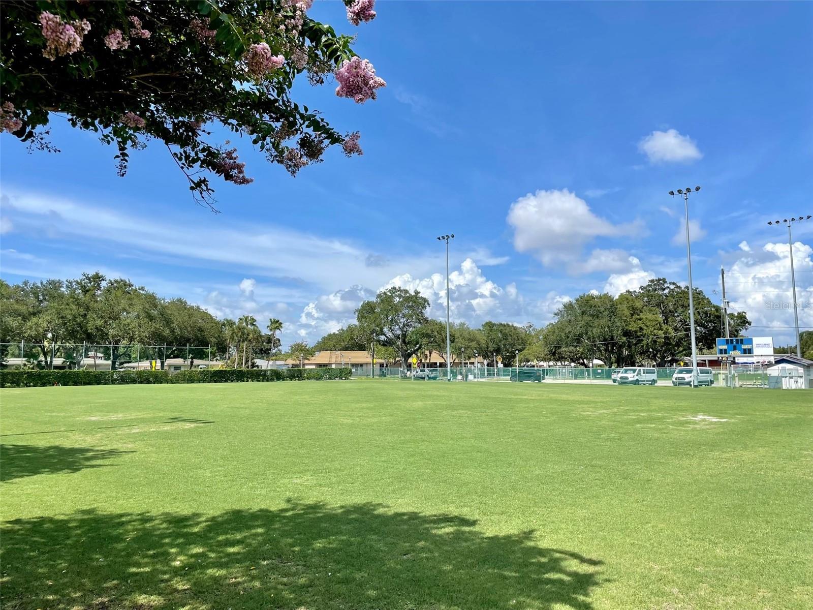 BELLEVIEW BILTMORE VILLAS BAYSHORE - Residential