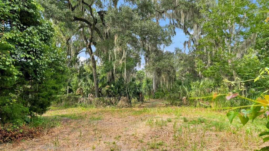 Photo of 0 Cedar Lane, Brooksville, FL 34601 (MLS # W7887430)