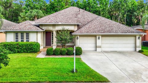 A home in WESLEY CHAPEL