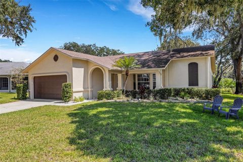 A home in PALM HARBOR