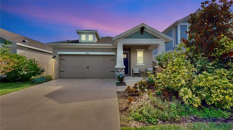 A home in APOLLO BEACH