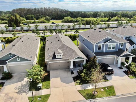 A home in APOLLO BEACH