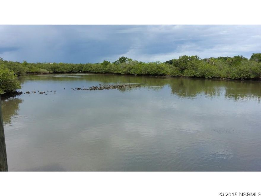 Waterfront lot with huge dock built in 2008. Long, private driveway leads to the perfect spot to build your dream home and have fabulous water views all day long. Bring your boat, add a boat lift and leave it in one of two covered boat houses; water is tide dependent. This 1.85 acre lot is zoned Residential Estate and is partially cleared. Survey available. See attachment for PAS requirements and WFHM offer submittal information in MLS document section.; Cleared: Partial ;Water: Available at Site