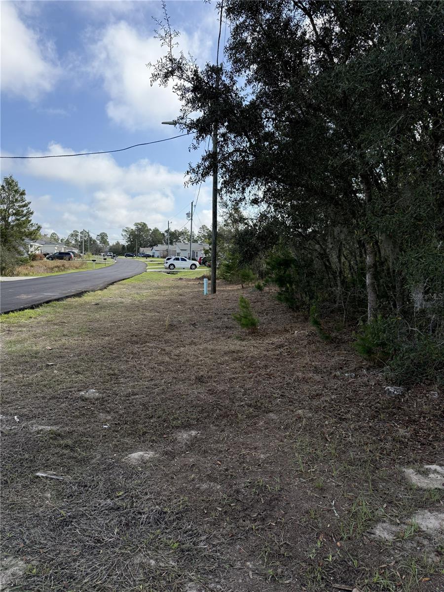 POINCIANA NBRHD 02 VILLAGE 08 - Land