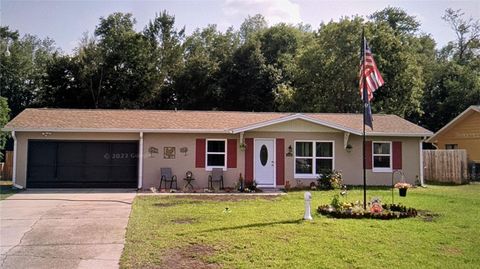 A home in CITRUS SPRINGS