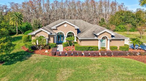 A home in TARPON SPRINGS