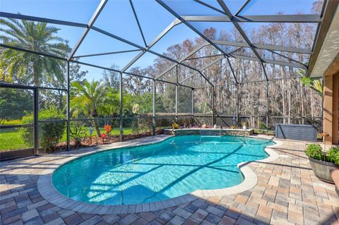 A home in TARPON SPRINGS