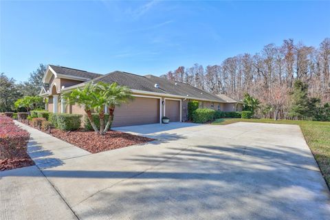 A home in TARPON SPRINGS