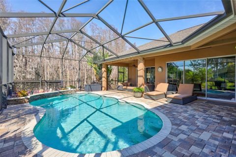 A home in TARPON SPRINGS