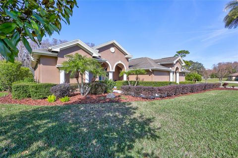 A home in TARPON SPRINGS