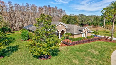 A home in TARPON SPRINGS