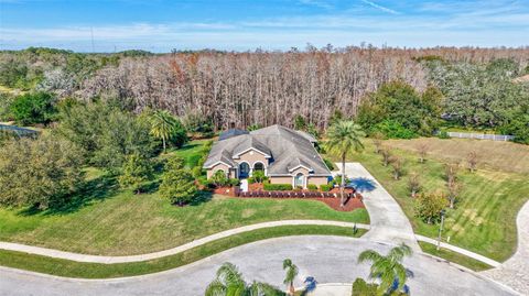 A home in TARPON SPRINGS