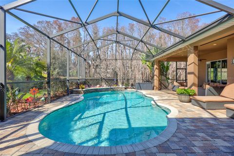 A home in TARPON SPRINGS