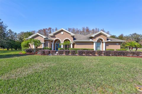 A home in TARPON SPRINGS