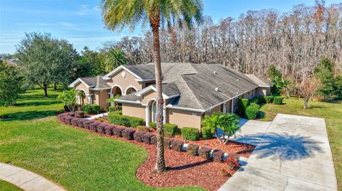 A home in TARPON SPRINGS