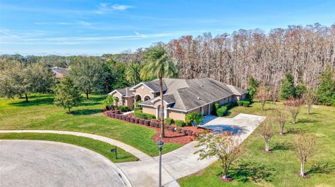 A home in TARPON SPRINGS