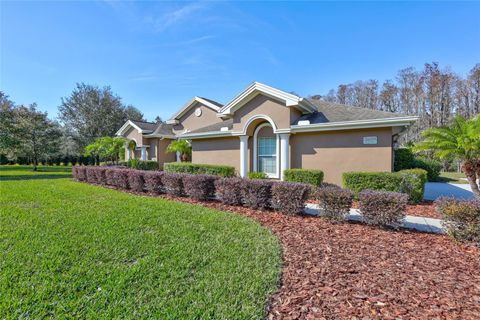 A home in TARPON SPRINGS