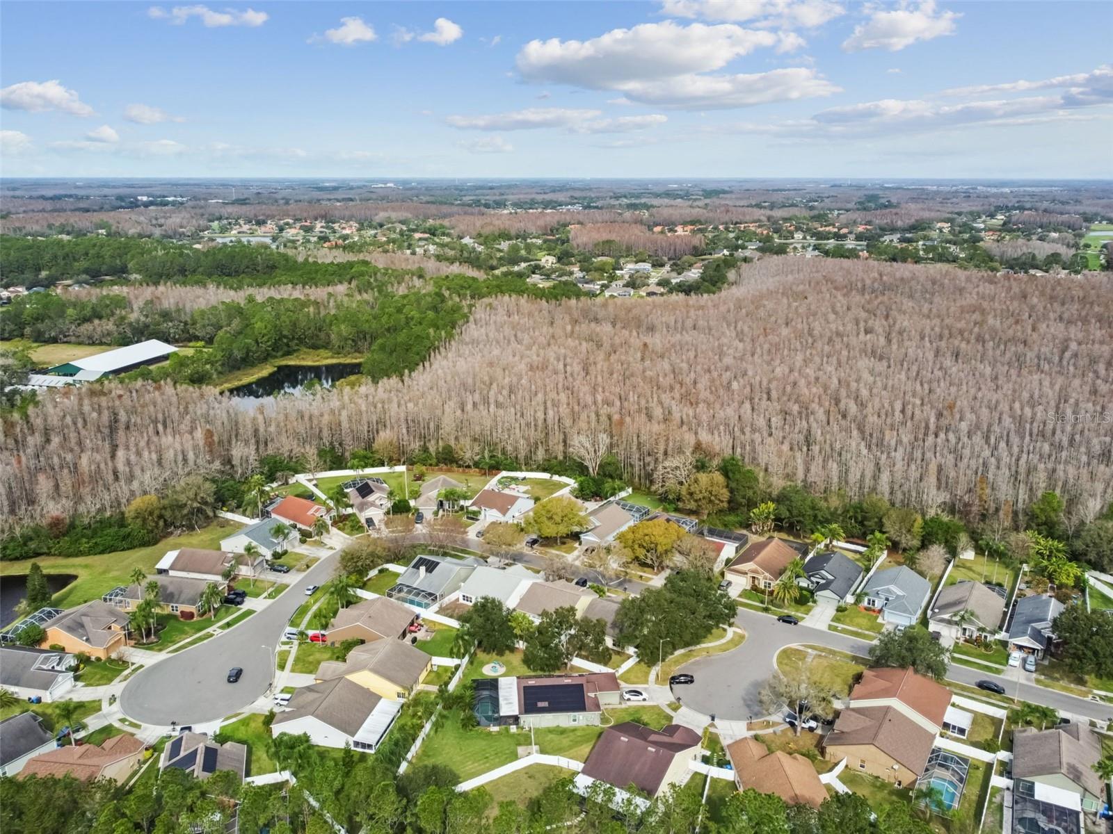 CALUSA TRACE UNIT IX PH II - Residential