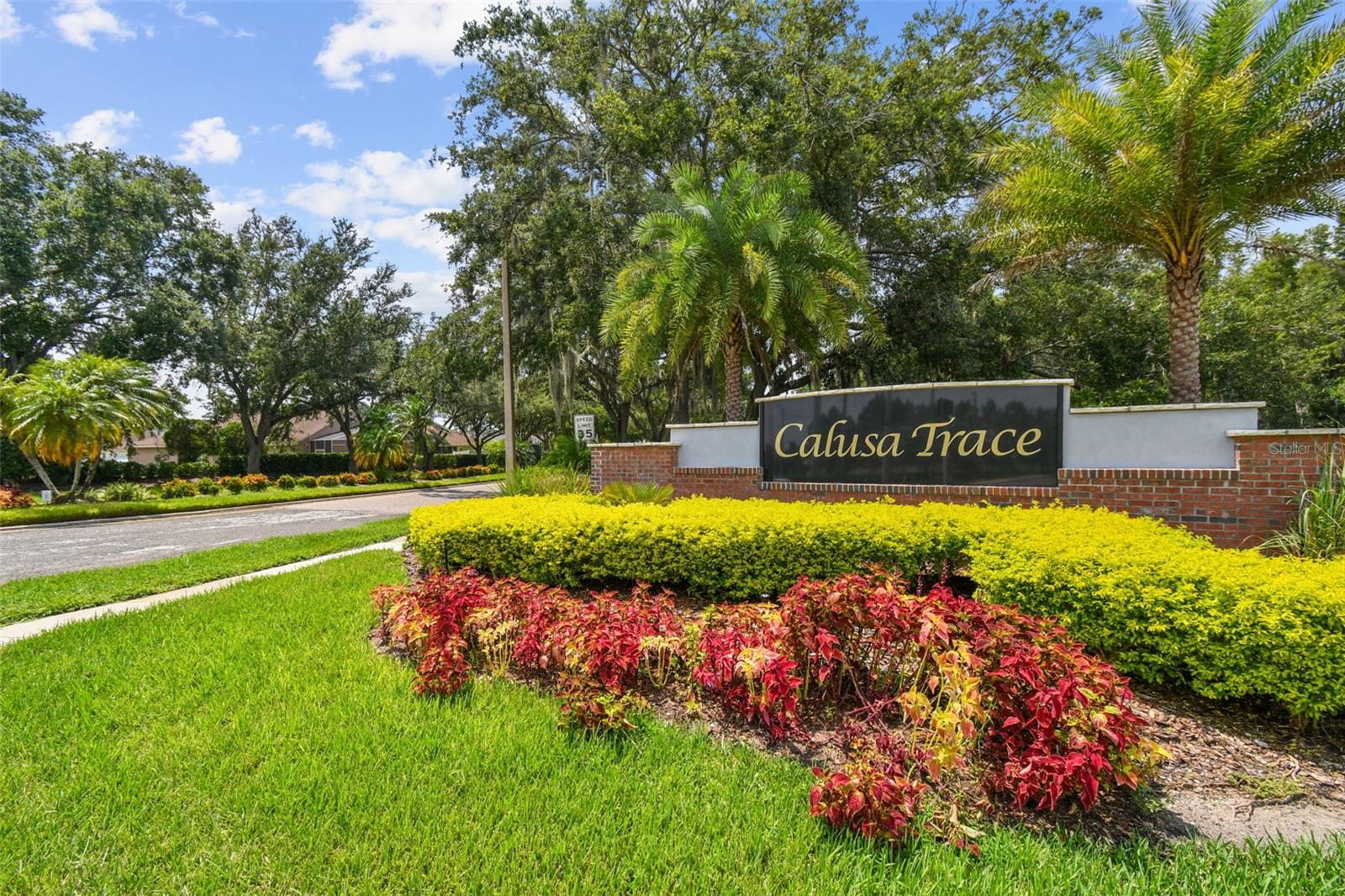CALUSA TRACE UNIT IX PH II - Residential