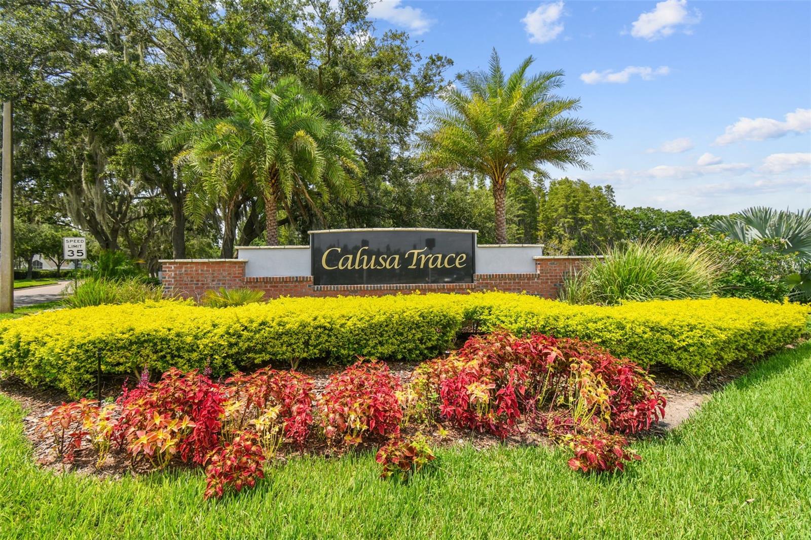 CALUSA TRACE UNIT IX PH II - Residential