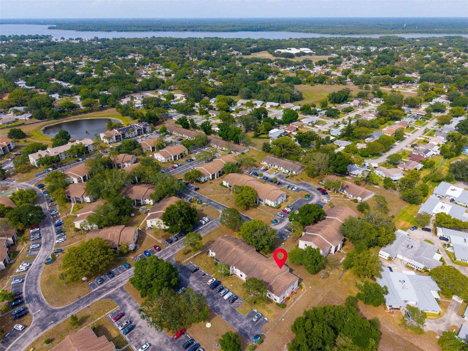 PINE RIDGE AT PALM HARBOR - Residential