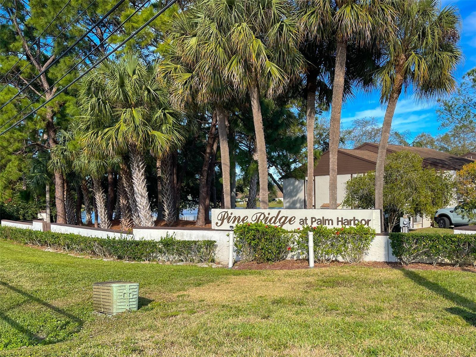 PINE RIDGE AT PALM HARBOR - Residential