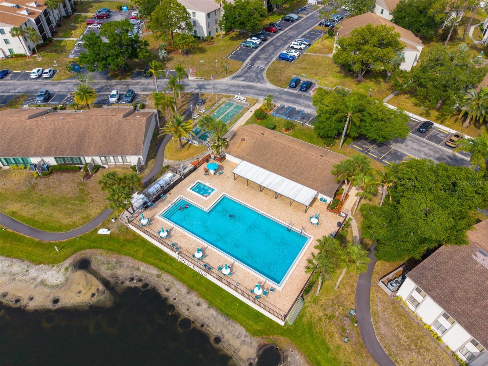 PINE RIDGE AT PALM HARBOR - Residential