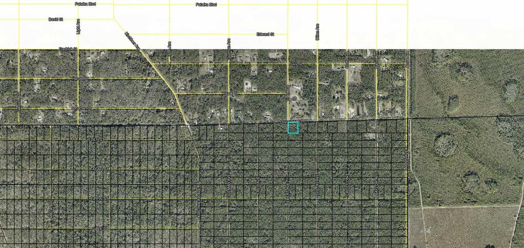 Photo of X Division Street, Hastings, FL 32145 (MLS # FC321783)