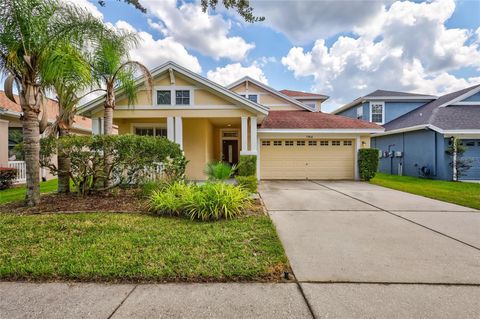 A home in LAND O LAKES