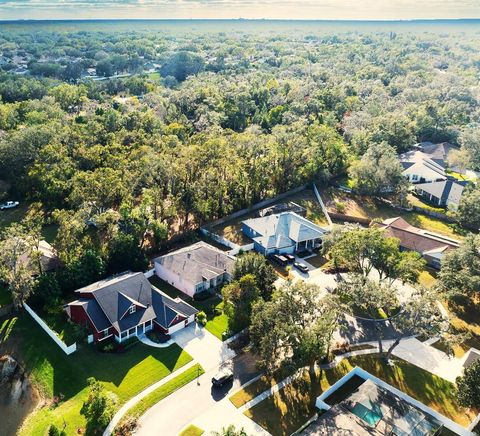 A home in VALRICO