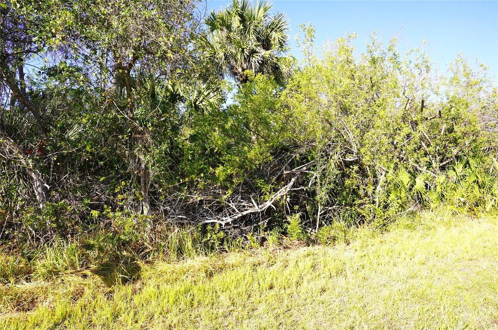 Photo of 1100 March Drive, Port Charlotte, FL 33953 (MLS # C7504896)