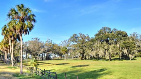 8418 LUPTON PLACE PLANT CITY FL 33567