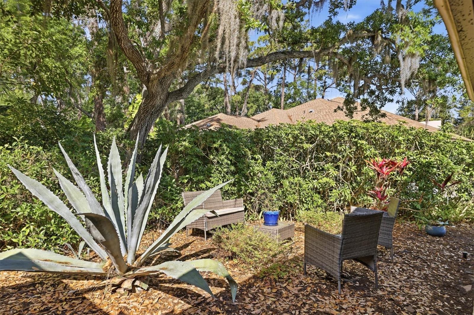 3351 THORNWOOD ROAD 3351