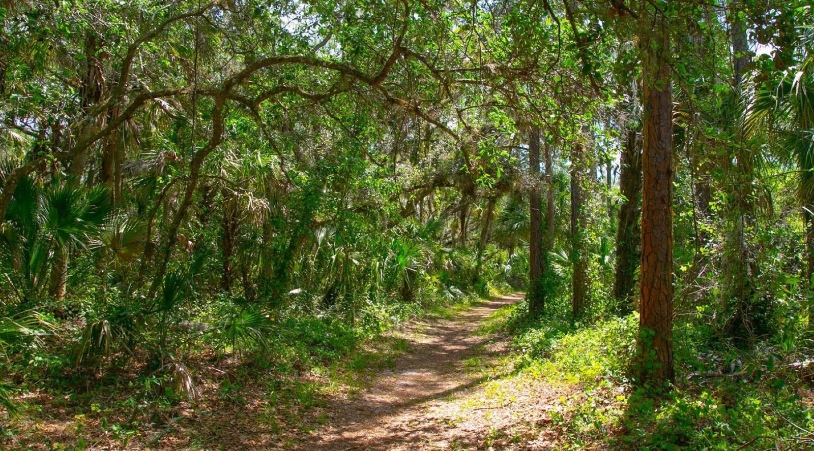 WOODMANS CHART - Residential