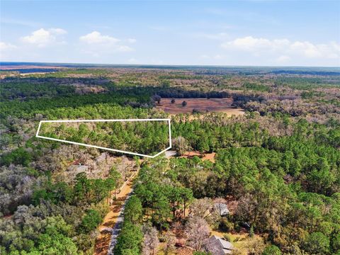 1316 SW 119TH PLACE MICANOPY FL 32667