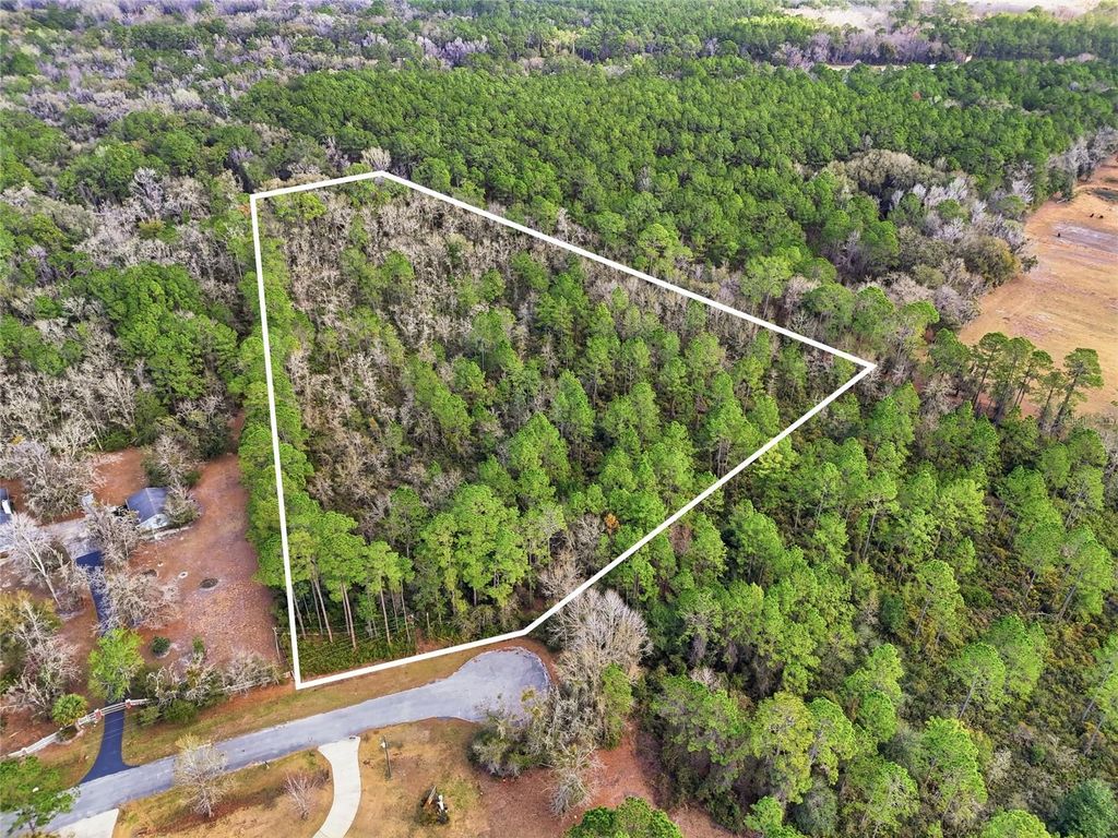 Photo of 1316 SW 119th Place, Micanopy, FL 32667 (MLS # GC537713)