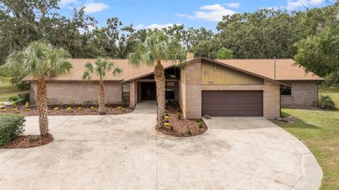 309 HIDDEN LAKE DRIVE BRANDON FL 33511