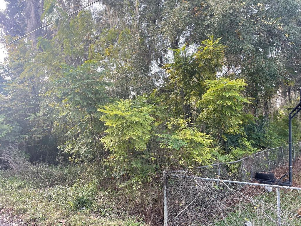 Photo of 131 Lake Mamie Road, Deland, FL 32724 (MLS # V4946112)